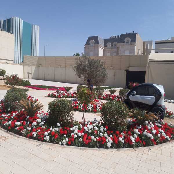 WhatsApp Image 2025-03-25 at 3.50.16 PM