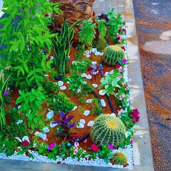 WhatsApp Image 2025-03-25 at 3.51.11 PM