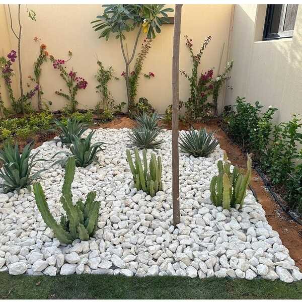 WhatsApp Image 2025-03-25 at 3.51.44 PM