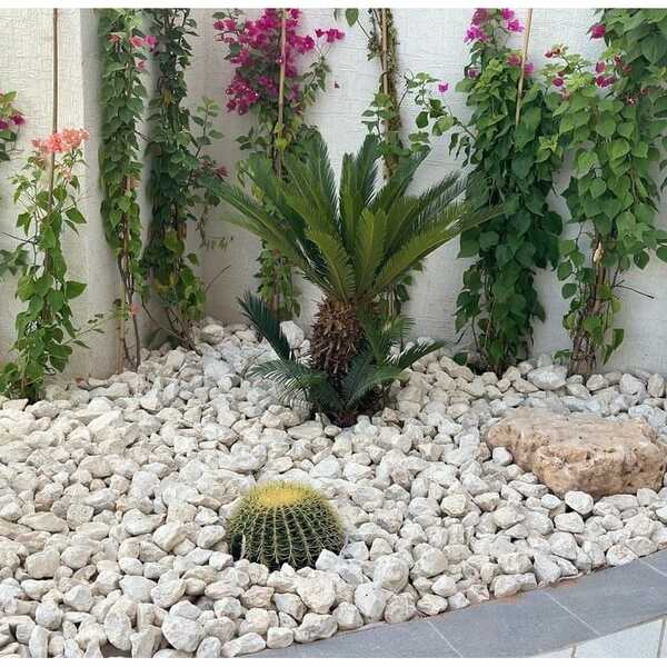 WhatsApp Image 2025-03-25 at 3.51.45 PM (1)