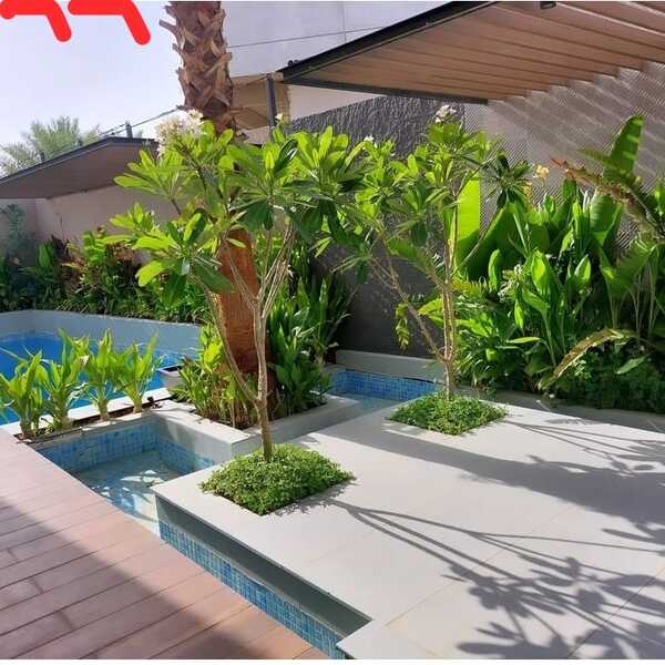 WhatsApp Image 2025-03-25 at 3.51.45 PM