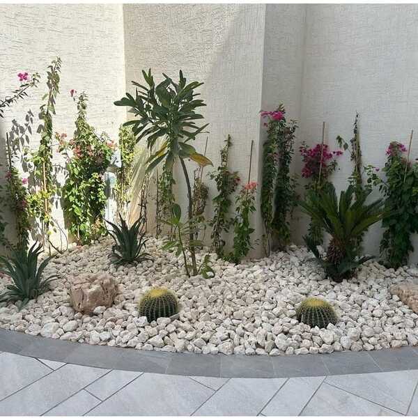 WhatsApp Image 2025-03-25 at 3.51.46 PM